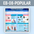        (EB-08-POPULAR)